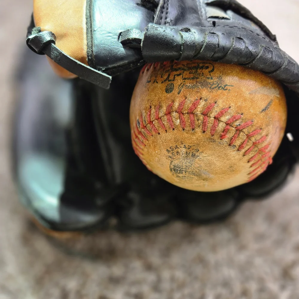 Wilson Black and Brown Baseball Glove